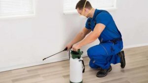 How To Choose The Right Pest Control Service
